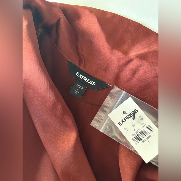 Express Satin Button-Up Blouse in Deep Rust - Picture 6 of 7